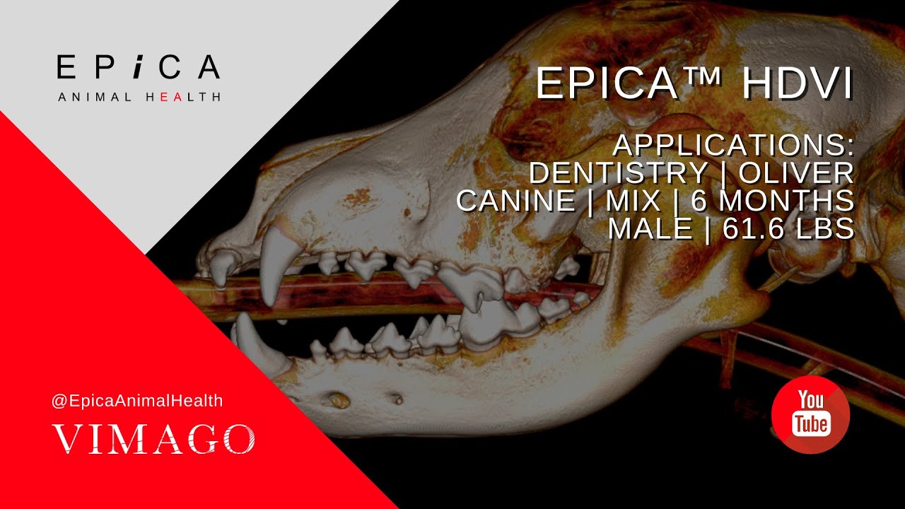Vimago™ HDVI: 12 Case Types – Dentistry