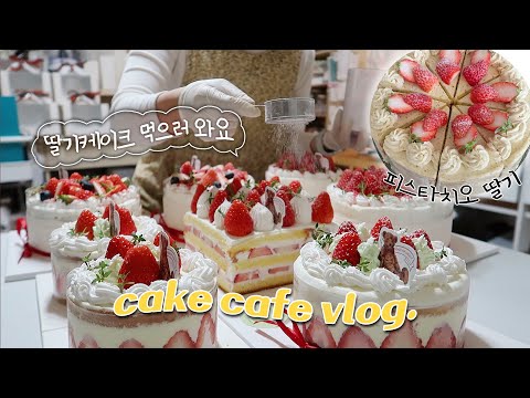 (ENG) 부산 디저트 카페 vlog | 겨울에는 딸기로 먹고사는 카페 일상•인기폭발 신메뉴 딸기초코케이크•딸기 홀케이크 디자인•수제 피스타치오 페이스트 만들기(🐶고생)