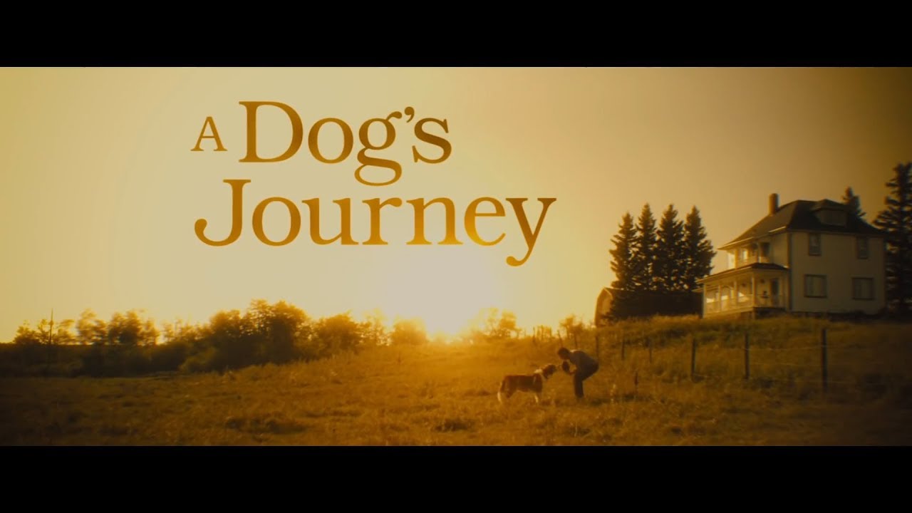 A Dog's Journey Review YouTube