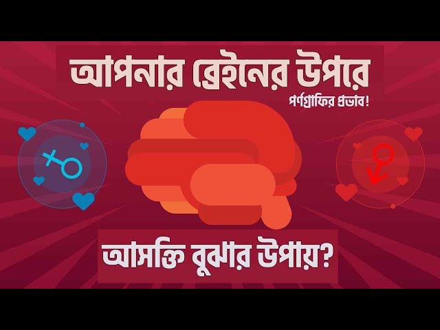(ইসলামিক নয়) ০৫ - আসক্তি বুঝার উপায়? - ব্রেইনে ইন্টারনেট পর্ণের প্রভার