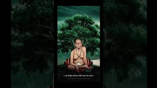 #akkalkotswamisamarthmaharajkijai #akkalkotswamisamarth #gurukripa #swamisamarth #shriswamisamarth