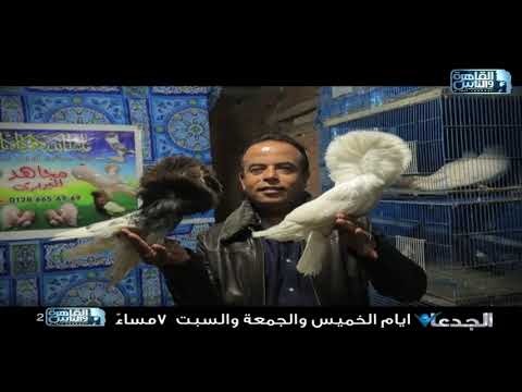 ترقبوا حلقات برنامج الجدعان مع محمد غانم من الخميس للسبت الساعة٧ مساء على القاهرة والناس٢