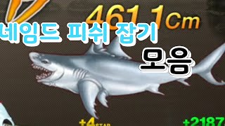 네임드 피쉬 잡기 모음 [피싱마스터] screenshot 4