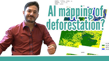 Using AI to map deforestation - GeoHero