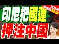 王毅與印尼部長一握手 2.8億人口的東盟老大把未來押在和中國一起走｜中國印尼談成了！印尼當場給多項承諾 美國圍堵再破一局｜介文汲.栗正傑.黃介正深度剖析?【張雅婷辣晚報】精華版