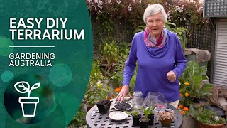 An easy DIY terrarium