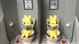 Peeps Show 2014: 'Everyone Peeps'