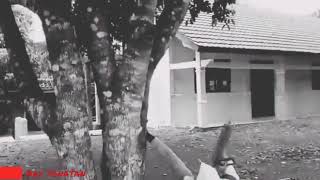 Video lucu 30 detik kekinian