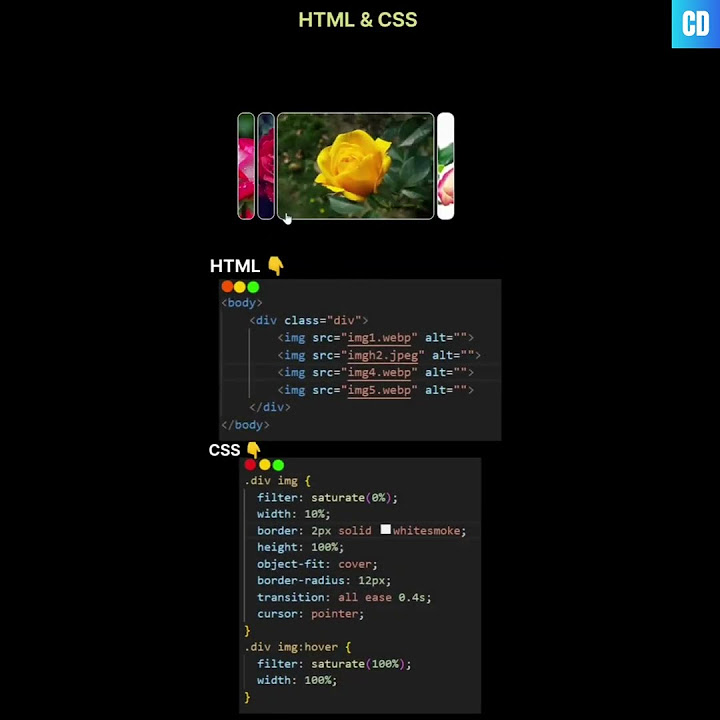 Image Gallery Using HTML And CSS - YouTube