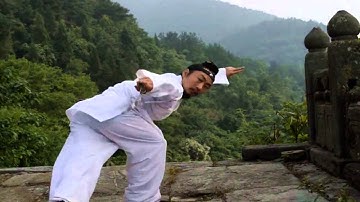 Wu Dang Swords 武当剑法 Xu Wei Han 许微含