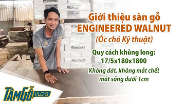 Giới thiệu sàn gỗ Engineered Walnut (Óc chó Kỹ thuật) tiêu chuẩn A | Tâm Gỗ Vlog