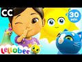 The Five Senses Shakedown | Nursery Rhymes with Subtitles