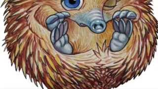 Book trailer for "Clyde's Prickly Ride"