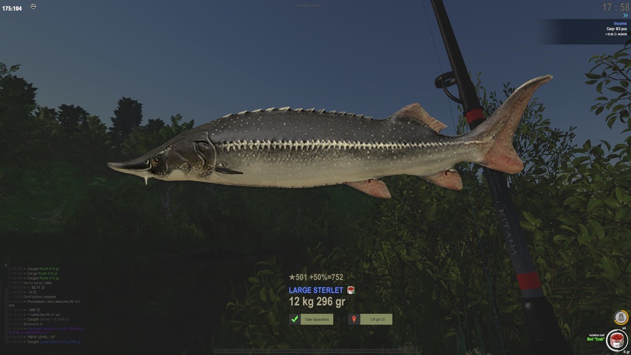 THE FISHER ONLINE #1 Guide Deutsch Sterlet angeln