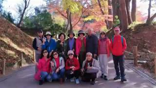 2017110408日本東北HUANG01