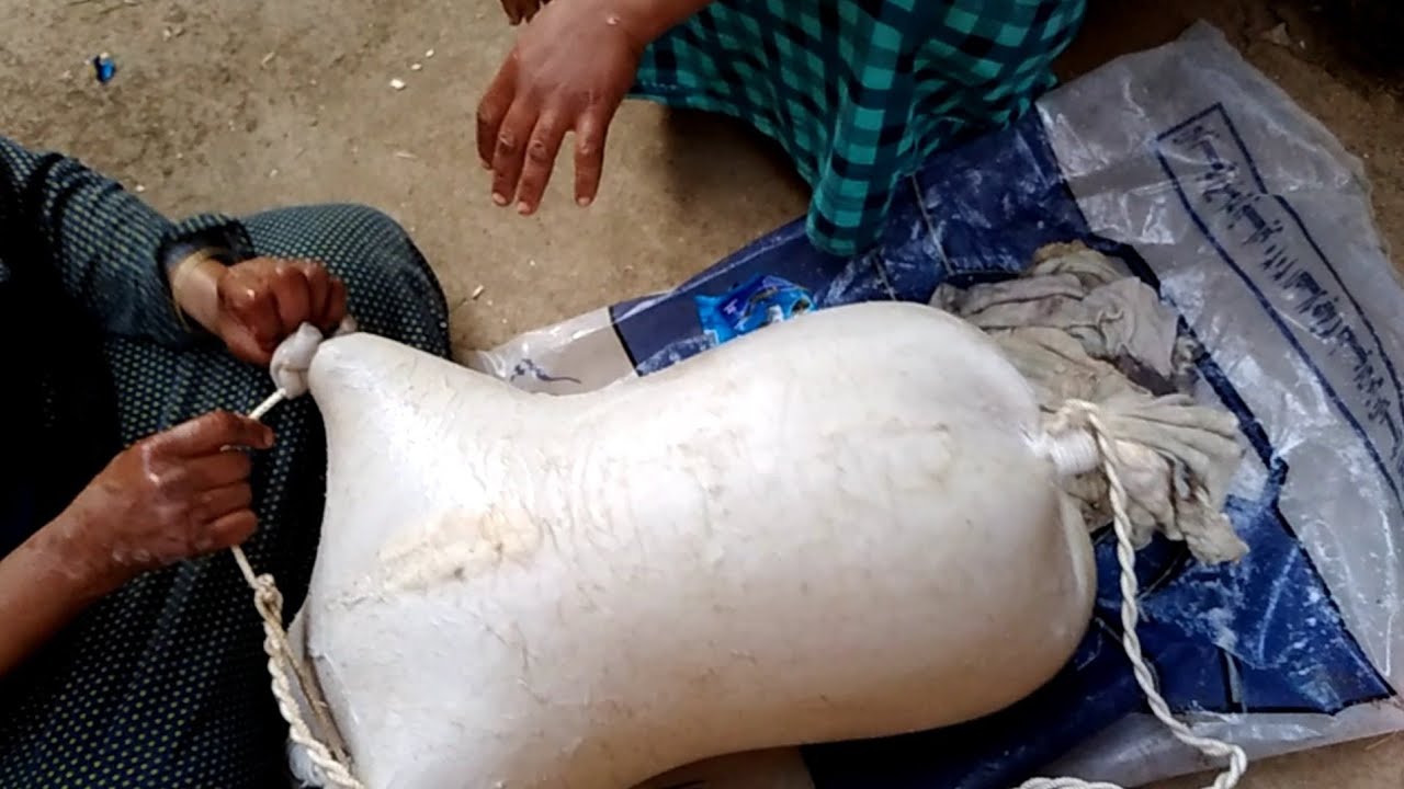 شد او ربط القربة بالحبل وتجهيزها لخض اللبن فالقربة وعميل السمنه البلدي بالتفاصيل يا حبايبي