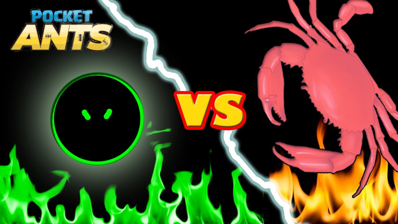 Pocket ants TheBlackArmy VS God of the beach YouTube