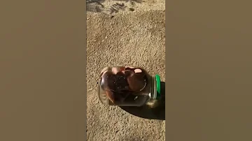 Braking Glass Bottle Crushing Crunchy Soft Things 123 Asmr Shorts Asmrsound Satisfyingvideo 