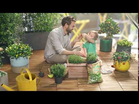 spot-tv-météo-printemps-été---jardinerie-truffaut