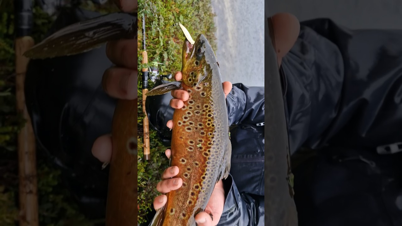 Fishing trip in the mountains of Norway🏔️🎣 