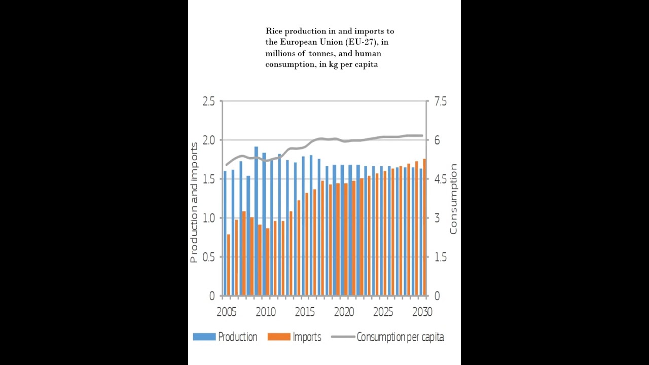 Rice trade global : Business Opportunities