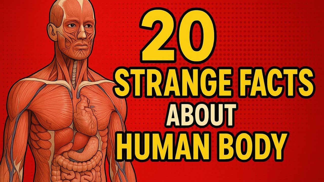 20 Strange Human Body Facts You Won't Believe !