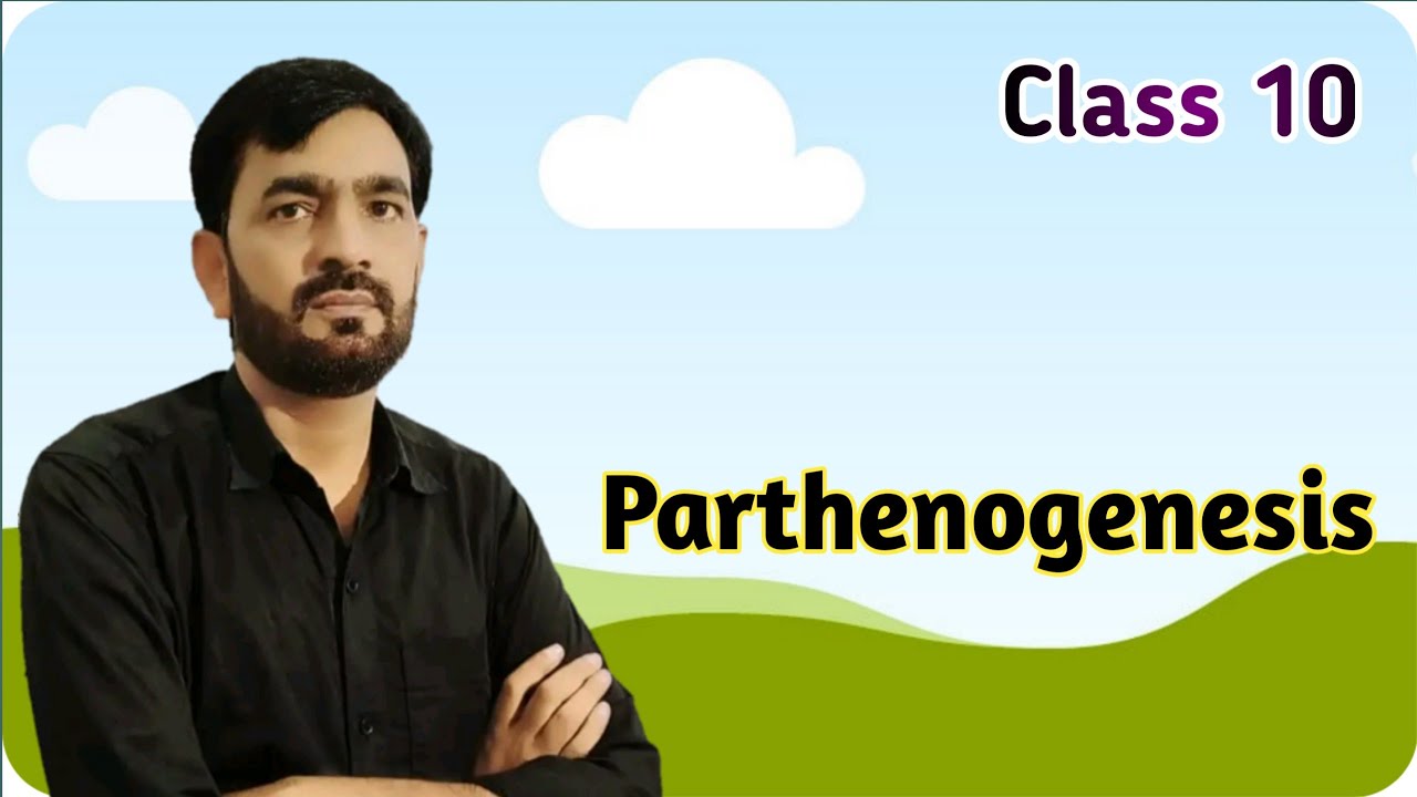 Parthenogenesis Parthenogenesis Class 10 Biology YouTube