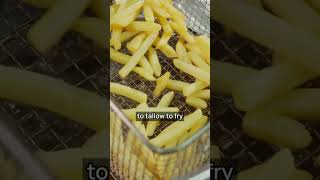 Seed Oil Critics Are Missing the Point