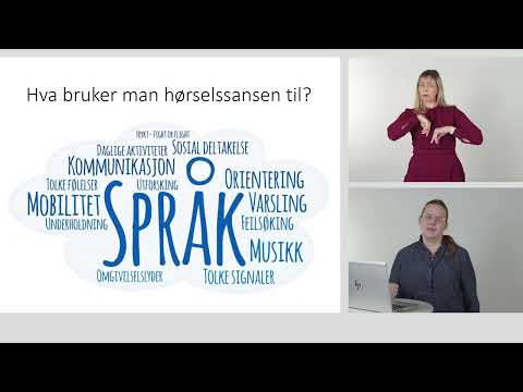 Video: Hva er synonymet med forskning?