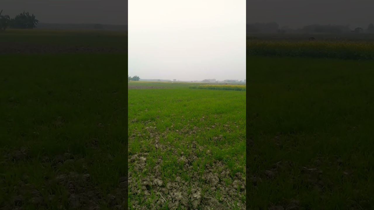 allahumma salli ala |nature video