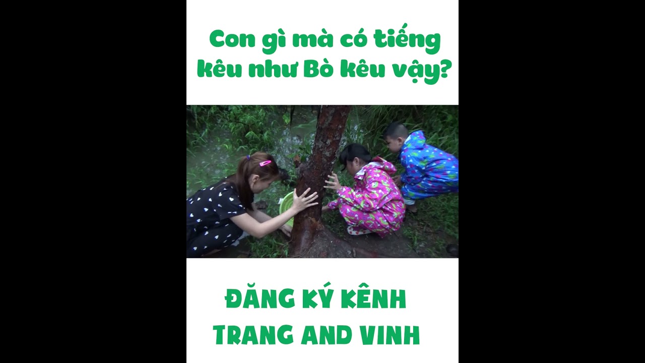 Mẹ Kế Tốt Bụng Chứng Minh Cho Trang Và Vinh Biết Con... - youtube