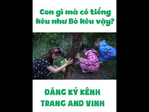Video Mẹ Kế Tốt Bụng Chứng Minh Cho Trang Và Vinh Biết Con... - youtube