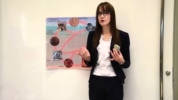 Sedimentary rock and fossils