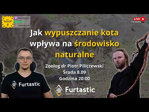 Wideo: Wpływ środowiska Na żywienie Twojego Kota