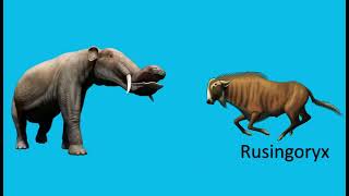 New Cenozoic Animals! Size Comparison