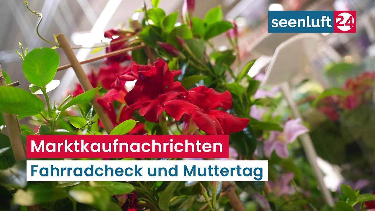 Marktkaufnachrichten - Für Muttertag und Fahrradtouren bereit sein