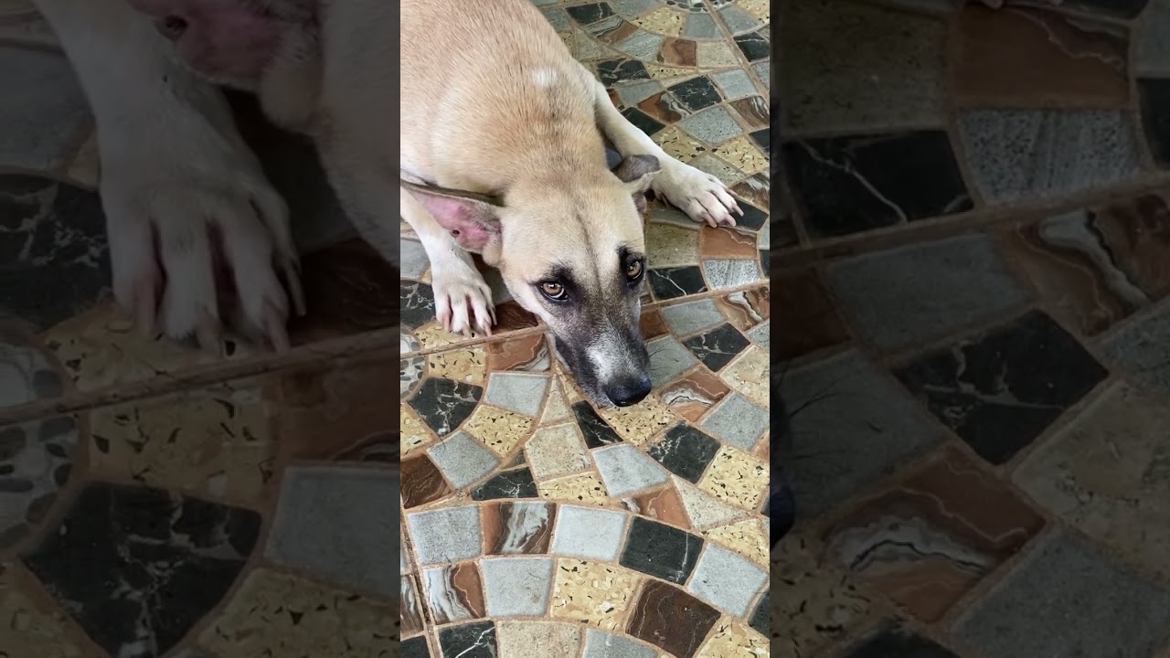 Did she blink? no... 