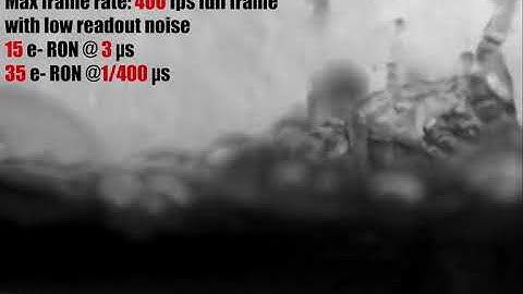 C-RED 2 by First Light Imaging (Axiom Optics 2018)