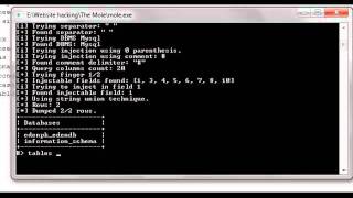 How to use mole to hack sqli vul. sites.mp4