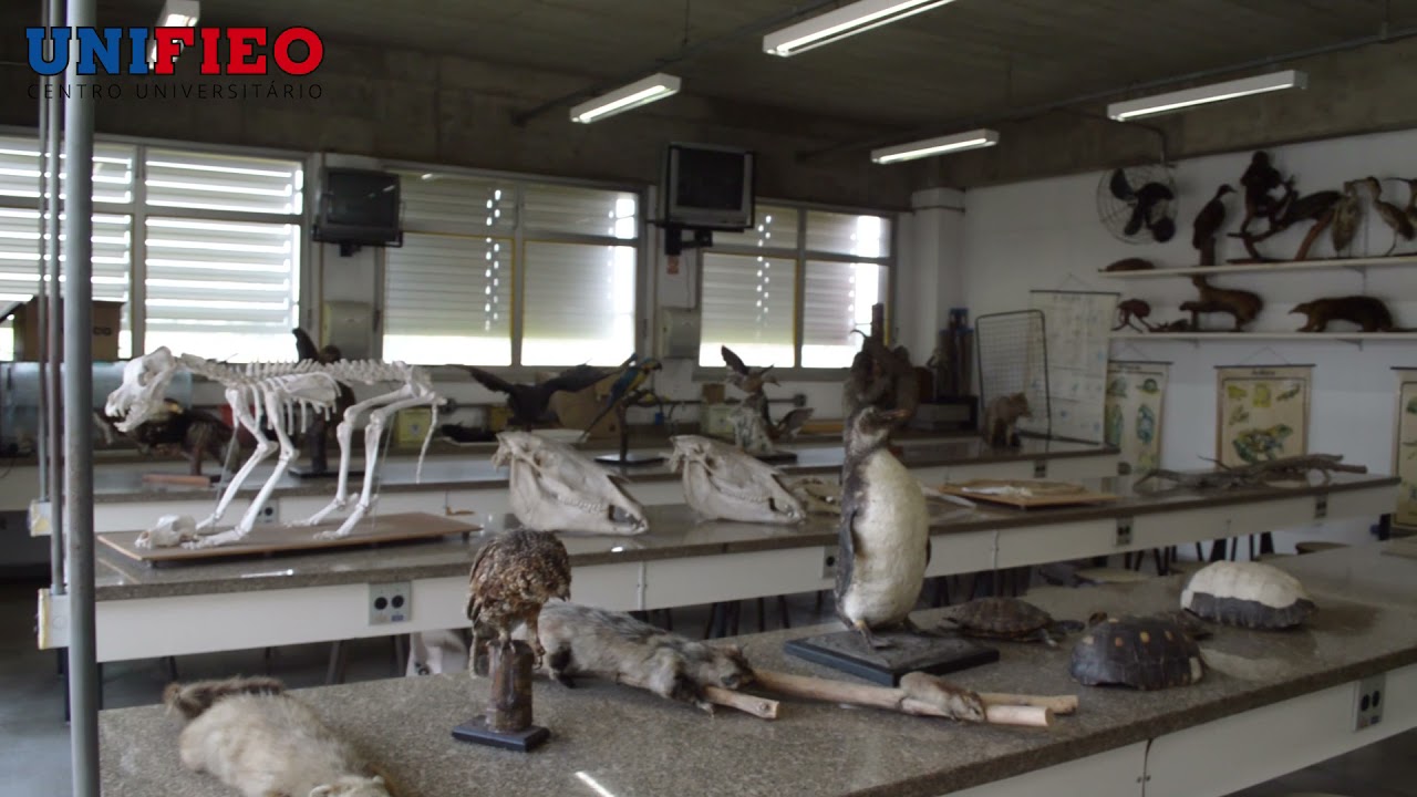 UNIFIEO, o seu centro universitário