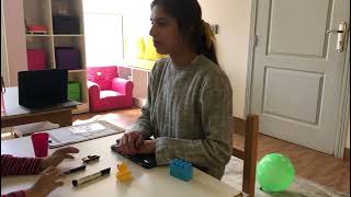 Teaching listener responding using noun verb/verb noun combinations