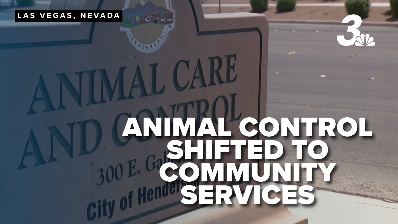 Henderson to shift animal control from police to community services