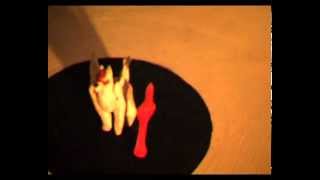 Yattastudioclay Animation War Of Dark And Light