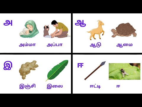 Tamil letters| உயிர் எழுத்துகள் |தமிழ் எழுத்துகள்| அ முதல் ஃ வரை| uyir ...