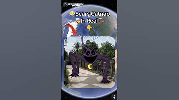 😶‍🌫️😰I Found A Very Creepy Catnap In Google Earth!? #shorts #viral #map #googlemaps