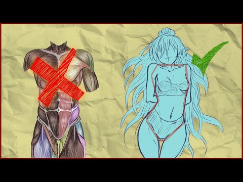 🙍‍♀️ How to draw the HUMAN TORSO step by step | The Ultimate Shape!