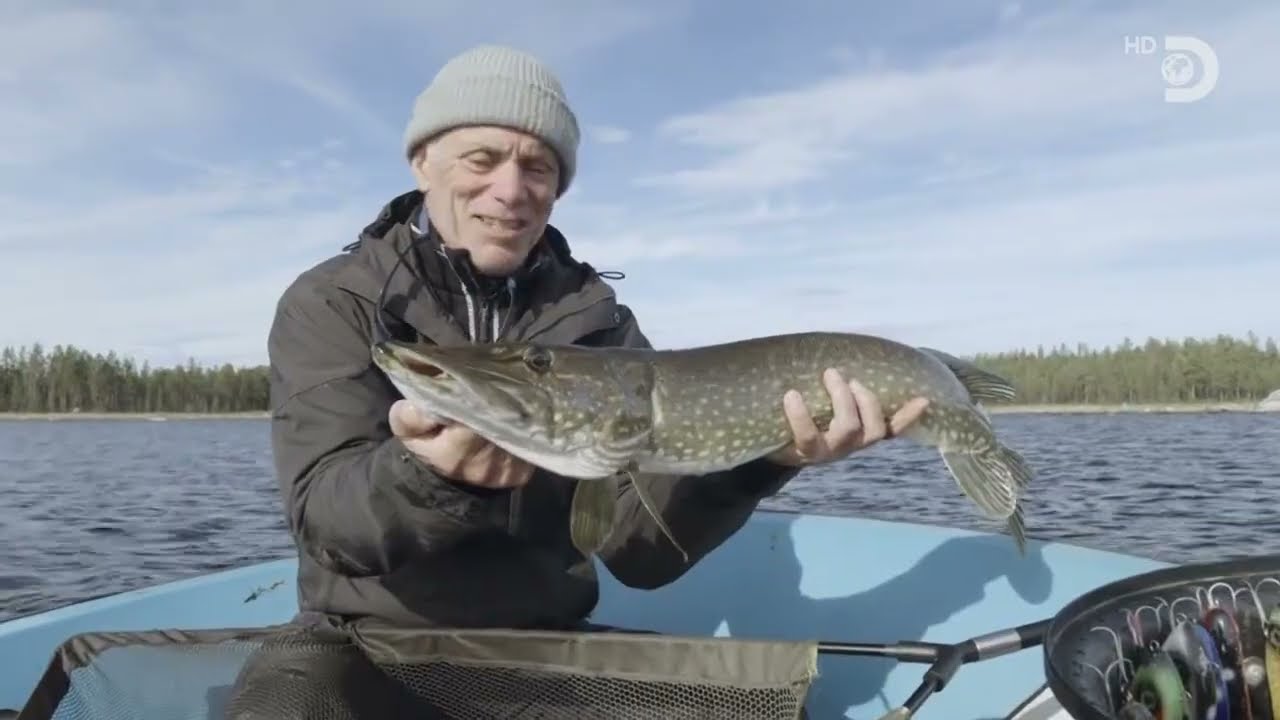 Как ловят спиннингом на большой виброхвост щуку (Esox lucius)  в небольшом озёре на севере Швеции ?