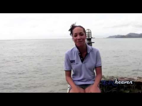 Billie's TEFL Heaven review — teaching English abroad