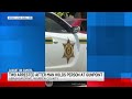 Video shows man holding another at gunpoint inside Abraham Drive home