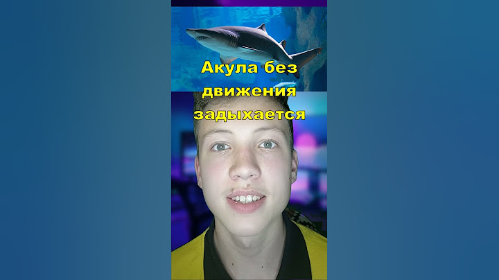 Если акула будет стоять на месте... Это удивительно!